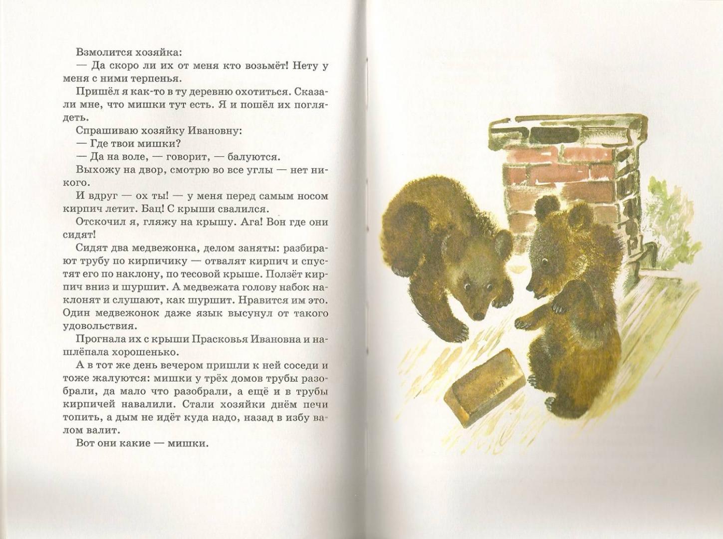 Иллюстрация 62 из 62 для Тюпа, Томка и сорока - Евгений Чарушин | Лабиринт - книги. Источник: farnor