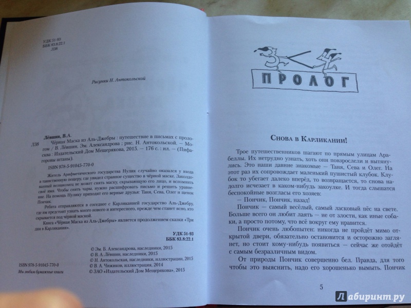 Иллюстрация 15 из 27 для Черная Маска из Аль-Джебры. Путешествие в письмах с прологом - Левшин, Александрова | Лабиринт - книги. Источник: Зубарева  Ксения Леонидовна