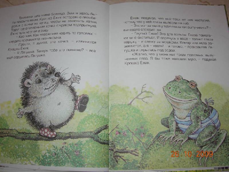 Иллюстрация 20 из 36 для Крошка Ежик - Тамара Крюкова | Лабиринт - книги. Источник: Соловей