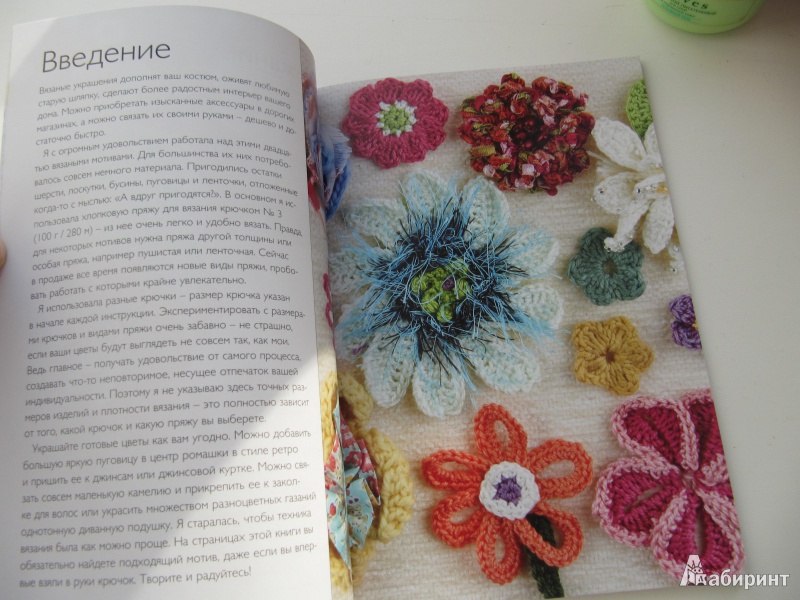 Иллюстрация 1 из 5 для Цветы, связанные крючком - Джен Оллис | Лабиринт - книги. Источник: DoNNa.С