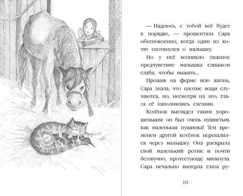 Иллюстрация 62 из 81 для Котёнок Пушинка, или Рождественское чудо - Холли Вебб | Лабиринт - книги. Источник: Редактор этой книги