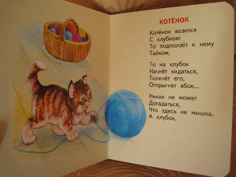 Главная мысль стихотворения котенок. Стихотворение котята. Стихи Барто. Стихи про котят. Котята. Стихи для детей.