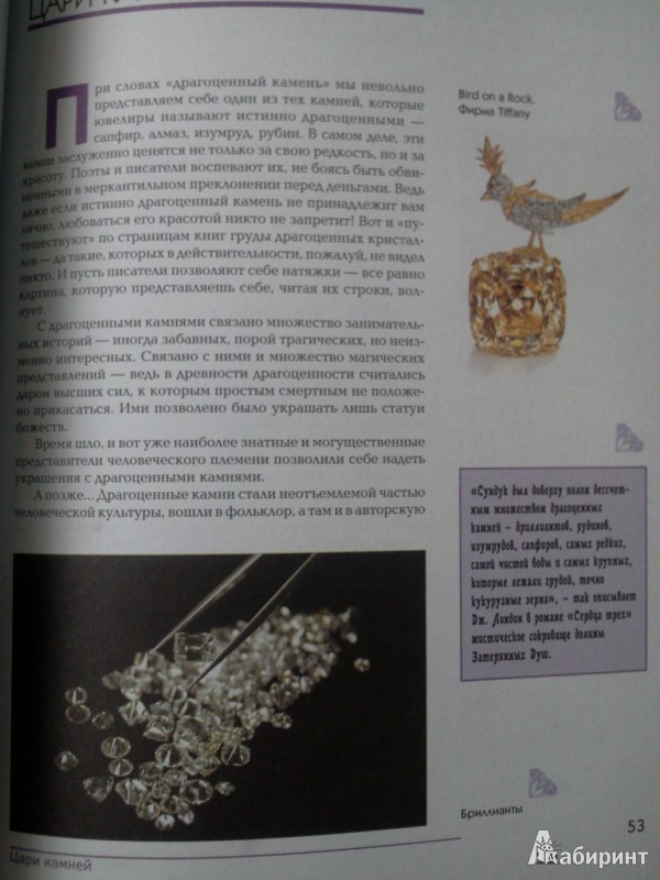 Иллюстрация 4 из 5 для Самые знаменитые драгоценные камни и ювелирные украшения - Мария Беседина | Лабиринт - книги. Источник: NorDStaR_11