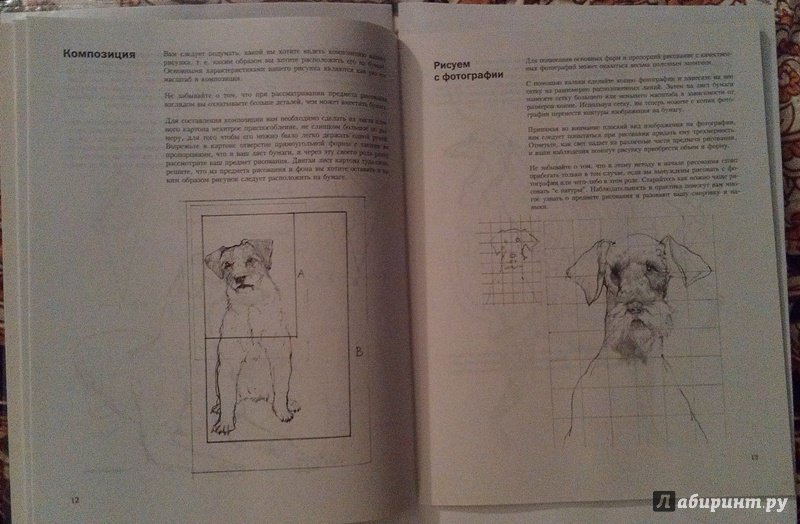 Иллюстрация 9 из 18 для Учитесь рисовать собак - Джереми Морган | Лабиринт - книги. Источник: ss0263042