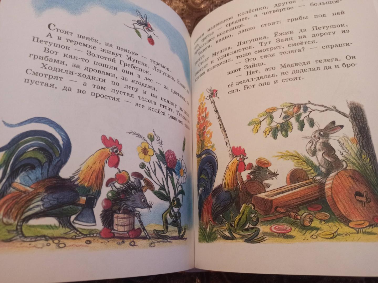 Иллюстрация 160 из 165 для Сказки и картинки - Владимир Сутеев | Лабиринт - книги. Источник: Оля Силакова