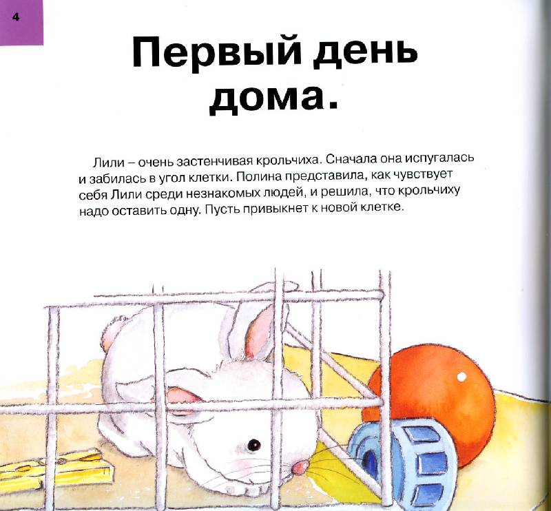 Иллюстрация 2 из 7 для Твой кролик. Уход за домашним любимцем - Гарсия, Сегарра | Лабиринт - книги. Источник: Росинка