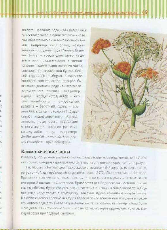 Иллюстрация 33 из 38 для Азбука ландшафтного дизайна - Татьяна Шиканян | Лабиринт - книги. Источник: Юта