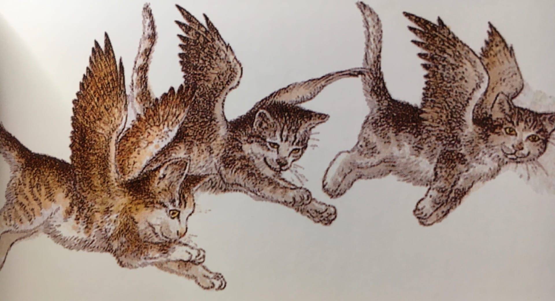 Иллюстрация 52 из 59 для Крылатые кошки - Гуин Ле | Лабиринт - книги. Источник: Лабиринт