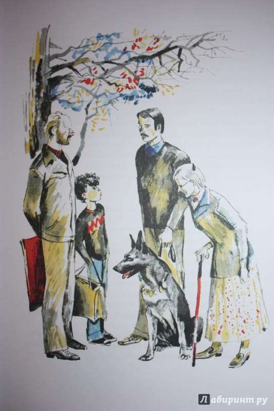 Иллюстрация 39 из 68 для У человека должна быть собака - Юрий Яковлев | Лабиринт - книги. Источник: Bradbury