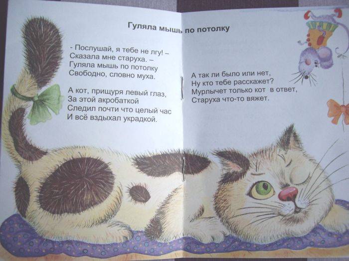 Иллюстрация 1 из 2 для Кошки-мышки - Николай Красильников | Лабиринт - книги. Источник: enotniydrug