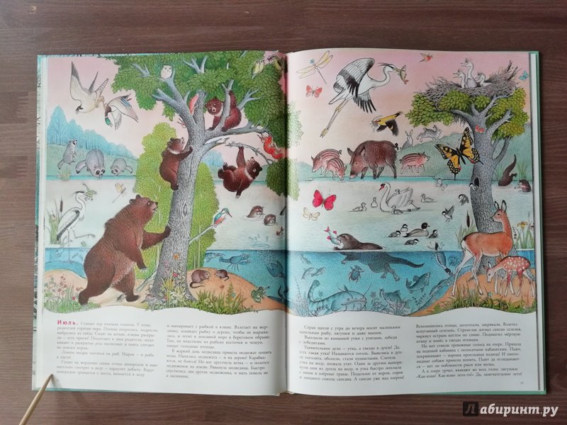 Иллюстрация 78 из 109 для В лесу - Петр Багин | Лабиринт - книги. Источник: Гошева  Елена