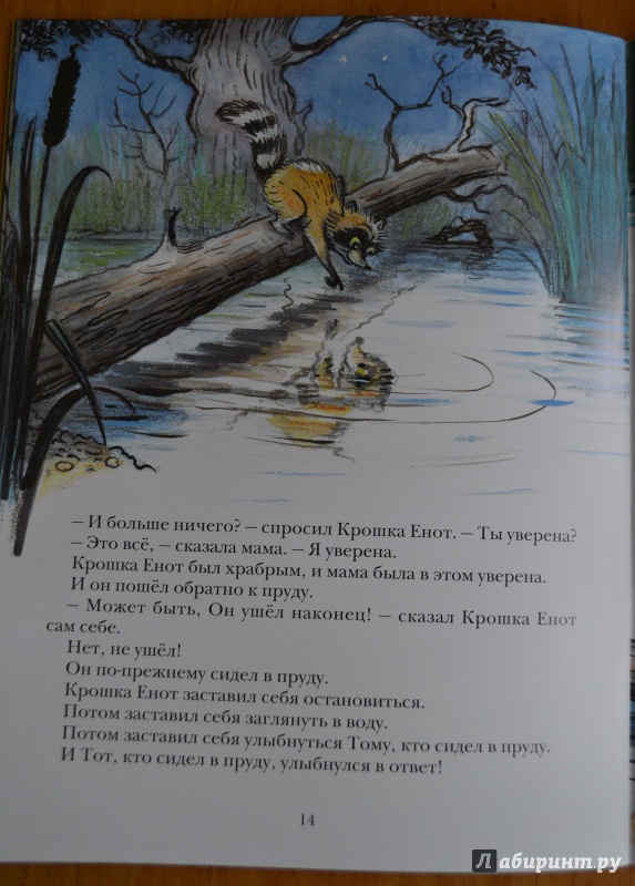 Иллюстрация 46 из 97 для Крошка Енот и тот, кто сидит в пруду - Лилиан Муур | Лабиринт - книги. Источник: Alice R