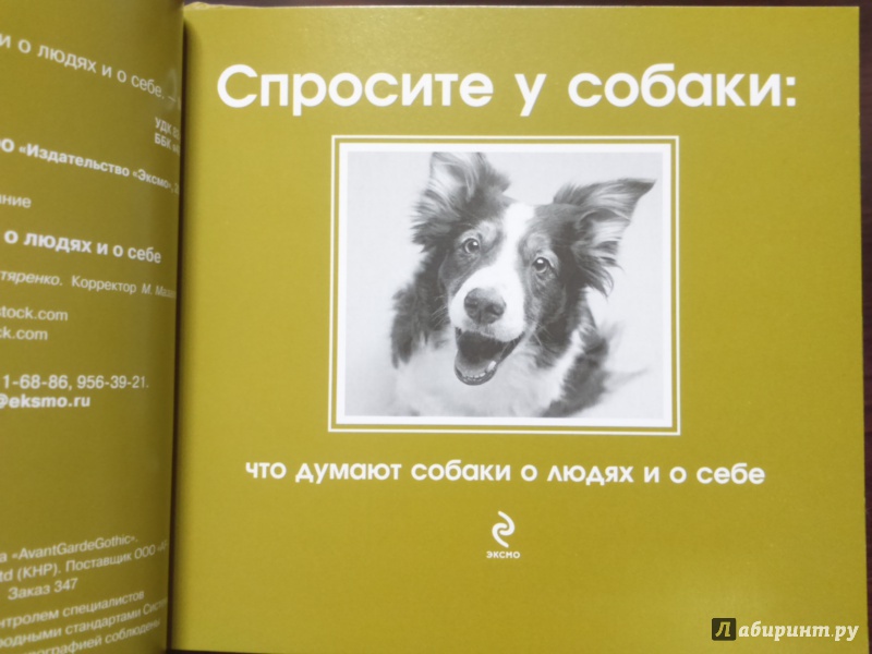 Иллюстрация 3 из 11 для Спросите у собаки: что думают собаки о людях и о себе | Лабиринт - книги. Источник: Тарабановская  Инна