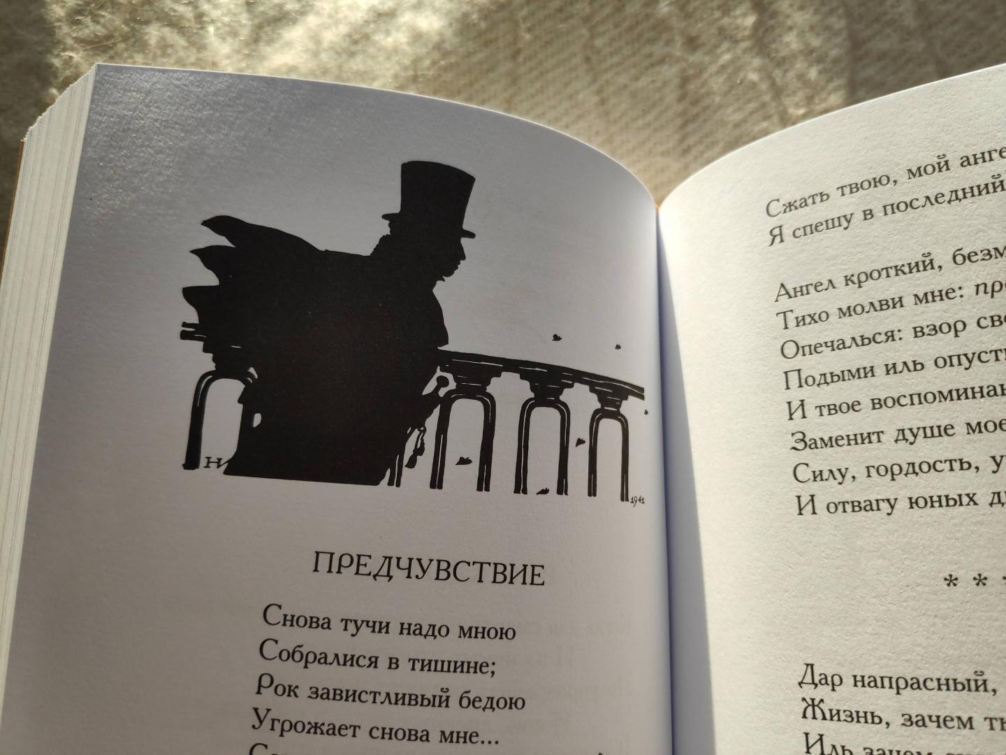 Иллюстрация 20 из 27 для Лирика - Александр Пушкин | Лабиринт - книги. Источник: Исмайылова Марина
