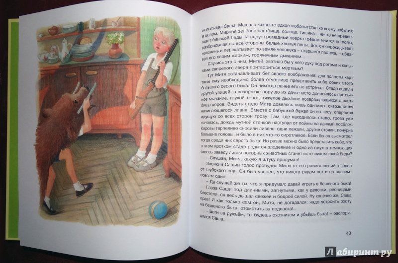 Иллюстрация 26 из 38 для Рассказы для детей - Юрий Нагибин | Лабиринт - книги. Источник: nata_romina