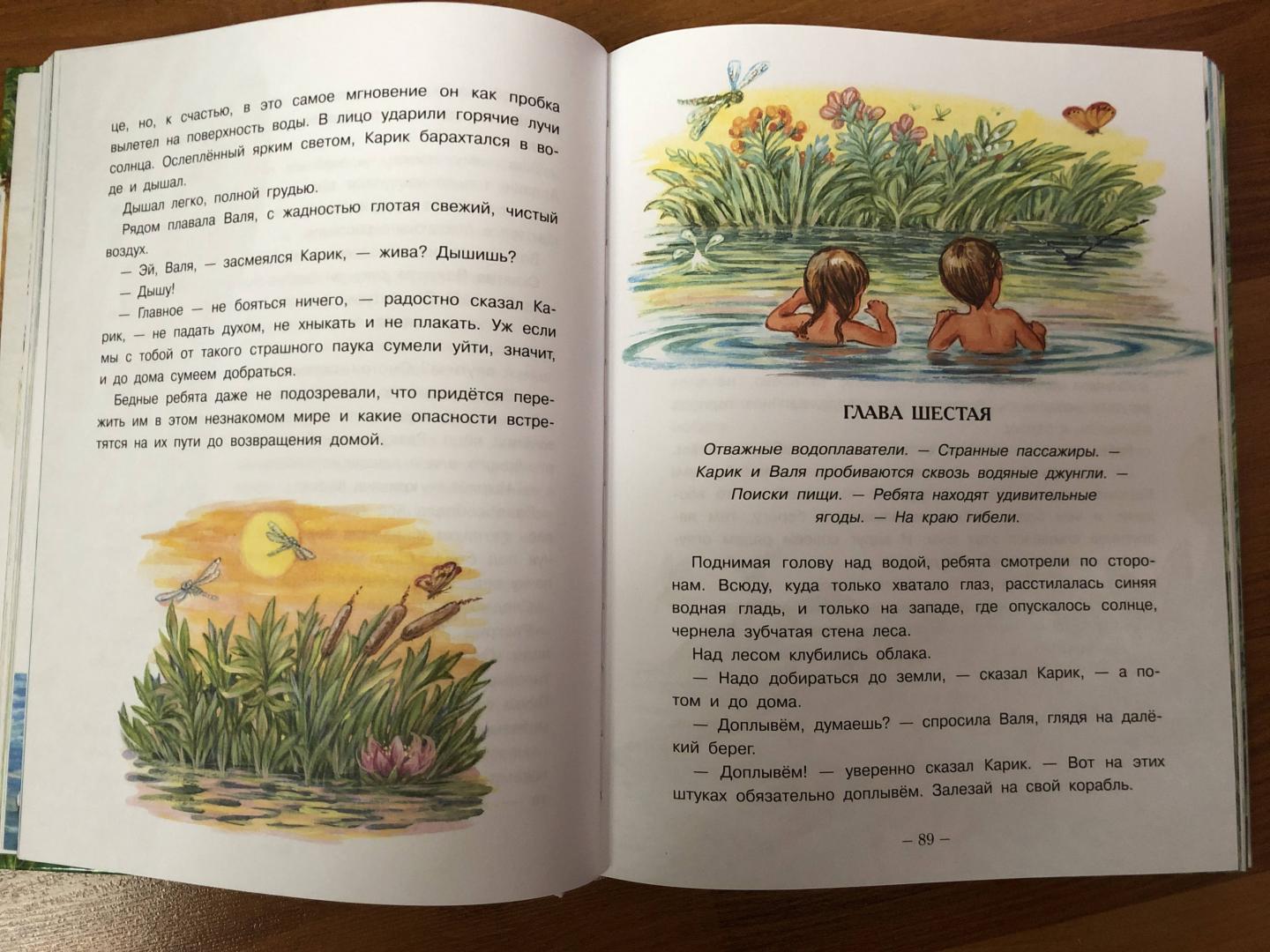 Иллюстрация 66 из 95 для Необыкновенные приключения Карика и Вали - Ян Ларри | Лабиринт - книги. Источник: ДинаЛана