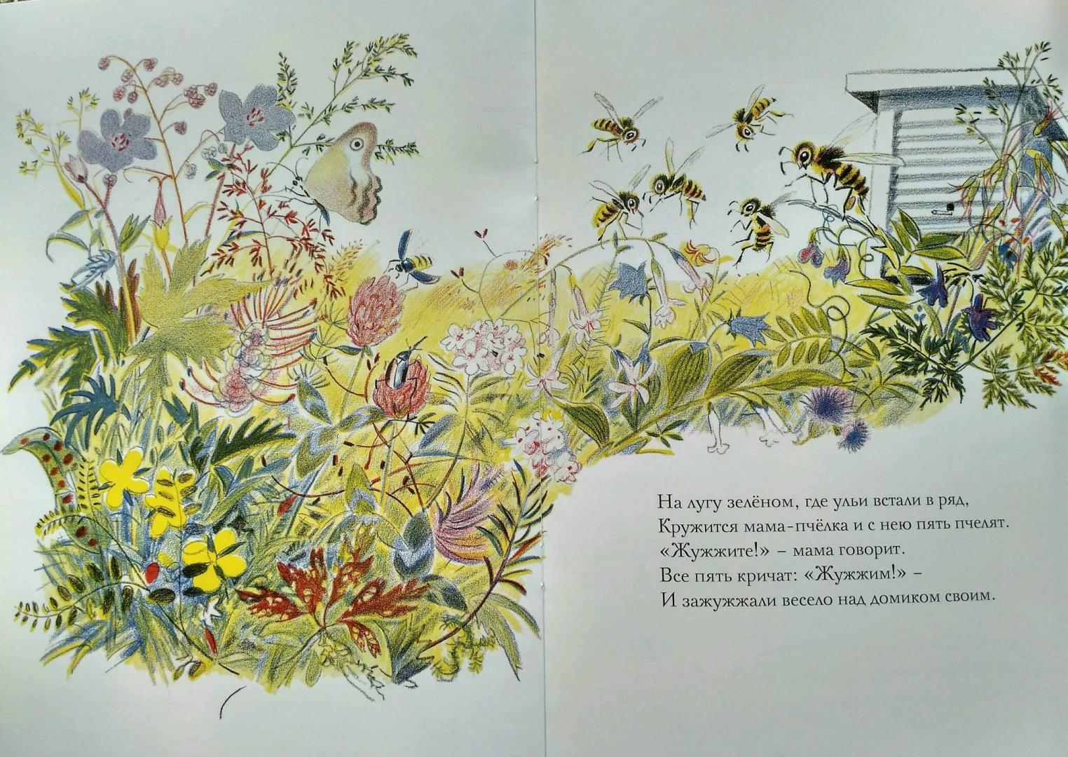 Иллюстрация 46 из 56 для Луговая считалочка - Джон Лангстафф | Лабиринт - книги. Источник: Elena