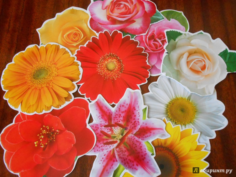 Иллюстрация 6 из 16 для Набор цветов на скотче для украшения стен (КМ-7996) | Лабиринт - сувениры. Источник: Леан