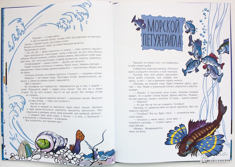 Иллюстрация 23 из 51 для Морские сказки - Святослав Сахарнов | Лабиринт - книги. Источник: Букландия