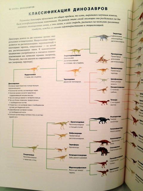 Иллюстрация 19 из 25 для Динозавры. Визуальная энциклопедия - Дугал Диксон | Лабиринт - книги. Источник: Алехина  Ксения