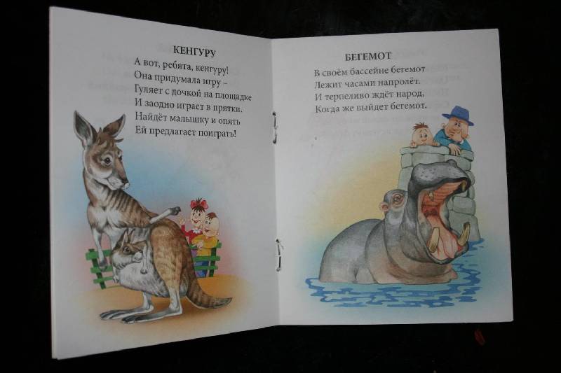 Иллюстрация 6 из 21 для Приходите в зоопарк - Наталья Томилина | Лабиринт - книги. Источник: Счастливая мама
