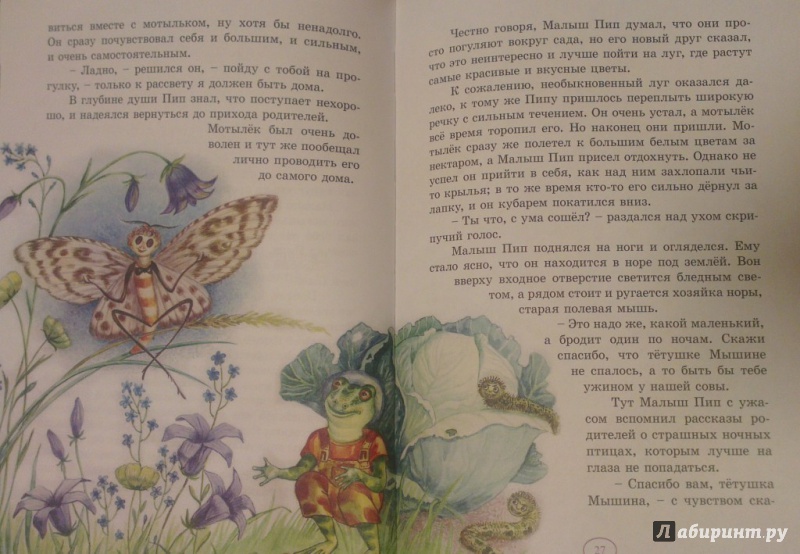 Иллюстрация 18 из 32 для Домик под кустом крыжовника - Е. Маланьина | Лабиринт - книги. Источник: Katty