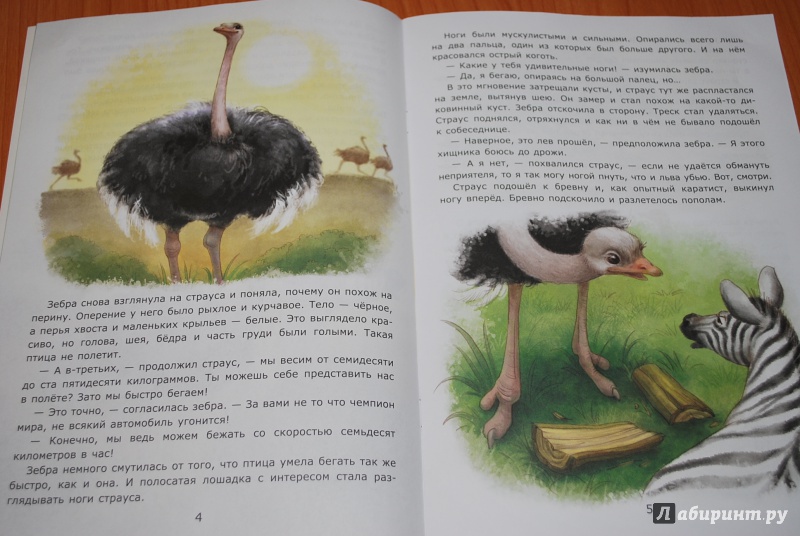 Иллюстрация 8 из 31 для Заботы страуса - Лариса Тарасенко | Лабиринт - книги. Источник: Нади