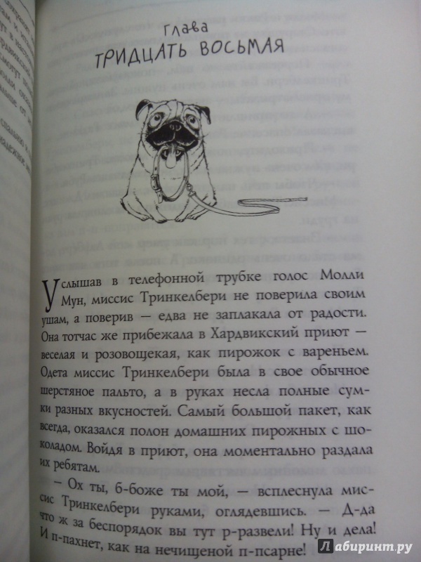 Иллюстрация 6 из 33 для Молли Мун и волшебная книга гипноза - Джорджия Бинг | Лабиринт - книги. Источник: zabluTshaya