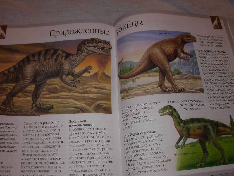 Иллюстрация 4 из 28 для Динозавры и другие исчезнувшие животные - Лора Камбурнак | Лабиринт - книги. Источник: --- Гера ---