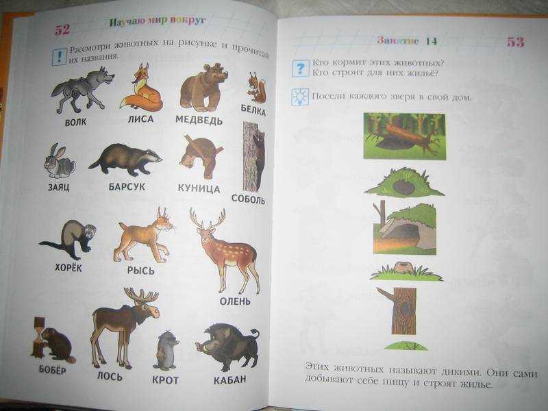 Иллюстрация 64 из 81 для Изучаю мир вокруг: для одаренных детей 5-6 лет - Валентина Егупова | Лабиринт - книги. Источник: Nnatali