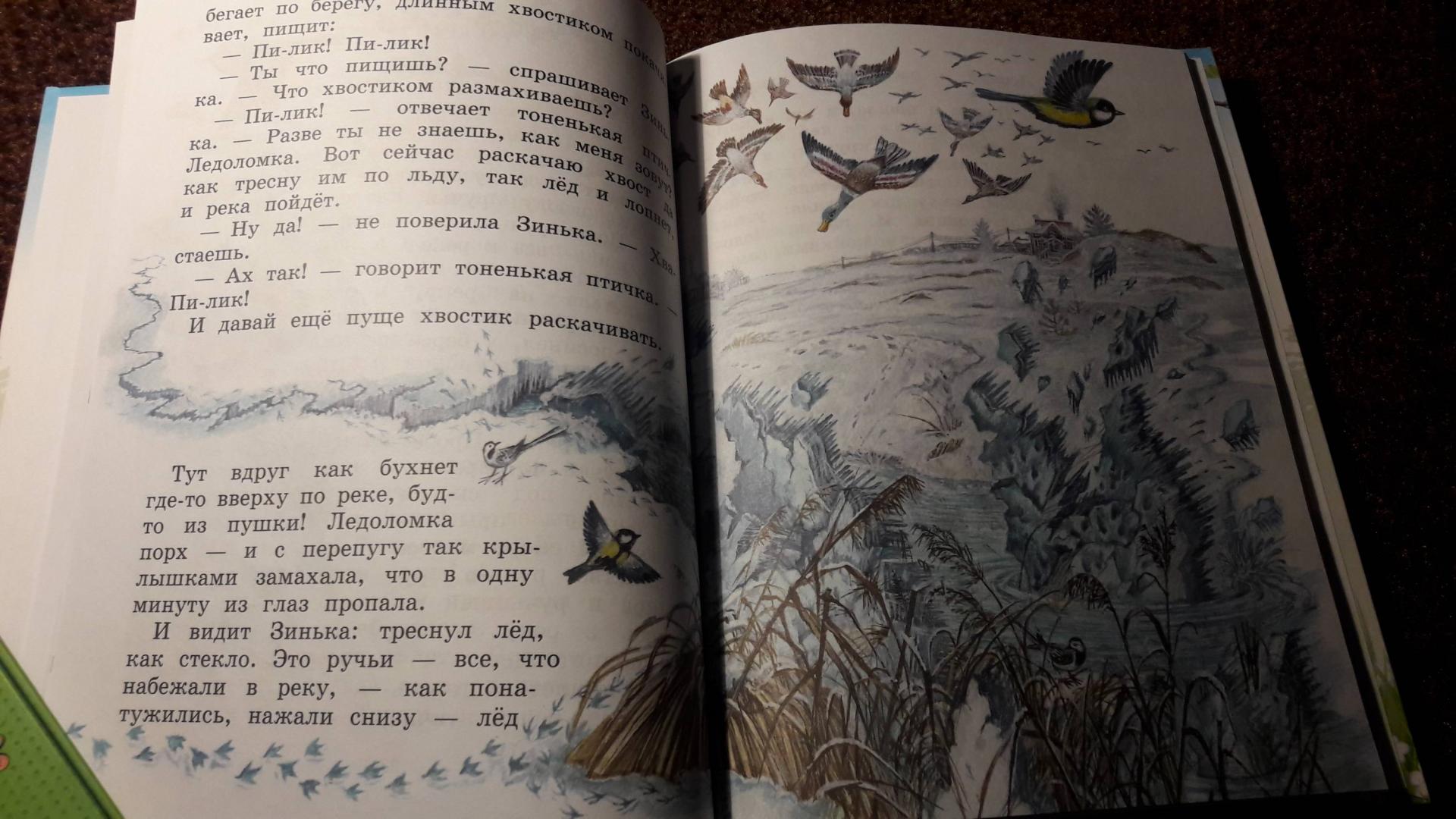 Иллюстрация 48 из 55 для Синичкин календарь - Виталий Бианки | Лабиринт - книги. Источник: Елена  Е.