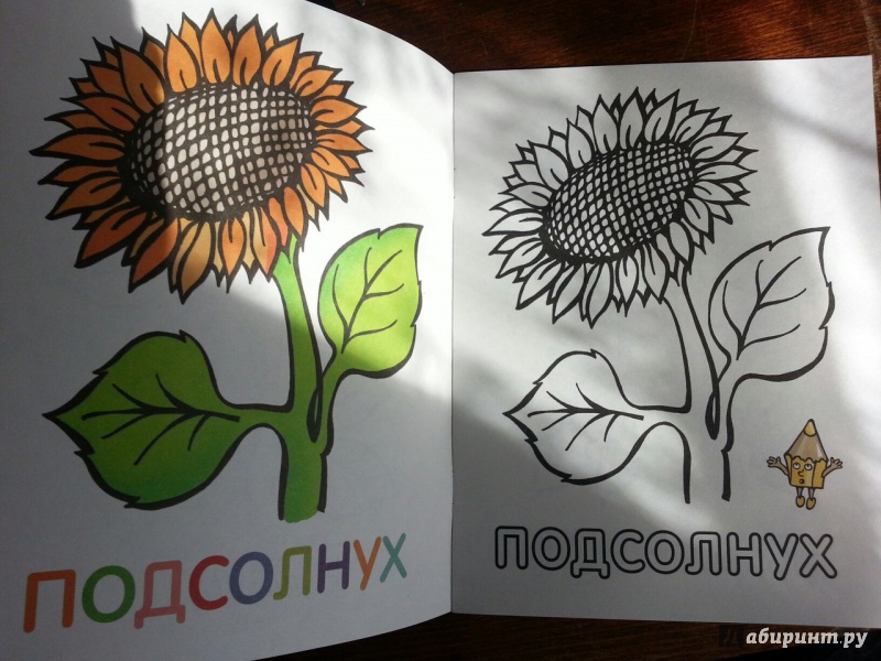 Иллюстрация 20 из 33 для Раскраска для малышей "Цветы" | Лабиринт - книги. Источник: Folgaa