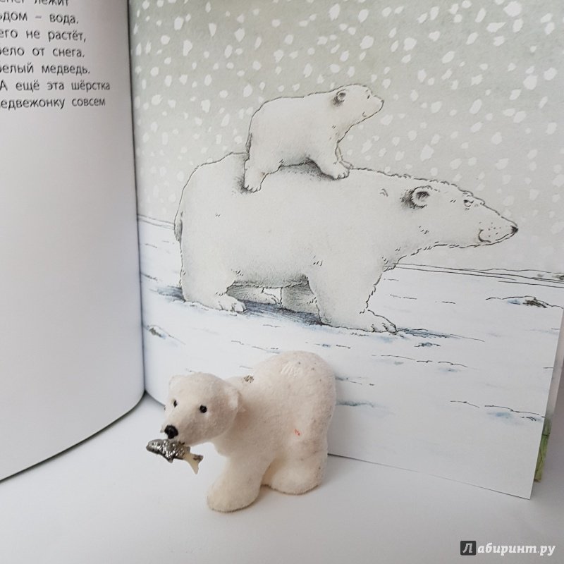 Иллюстрация 19 из 49 для Приключение белого медвежонка - Беер Де | Лабиринт - книги. Источник: Лабиринт
