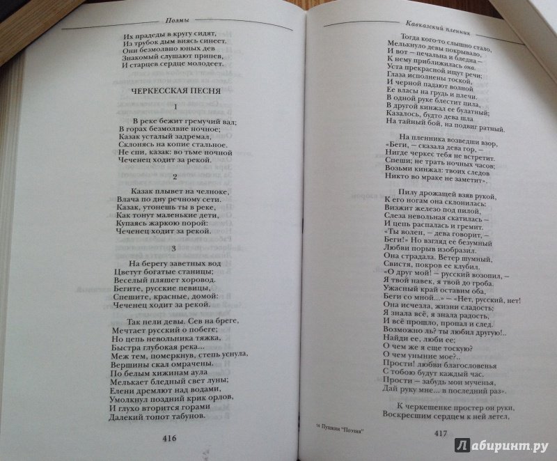 Иллюстрация 18 из 30 для Поэзия - Александр Пушкин | Лабиринт - книги. Источник: Nadezhda  Marchenko