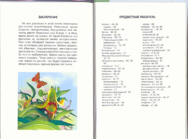 Иллюстрация 38 из 54 для Самые удивительные растения - Сергей Афонькин | Лабиринт - книги. Источник: Бетельгейзе