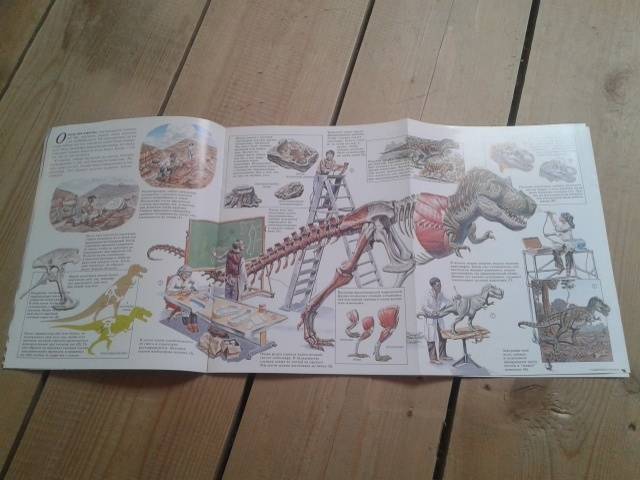 Иллюстрация 14 из 21 для Динозавры - Джон Веско | Лабиринт - книги. Источник: Алёнка