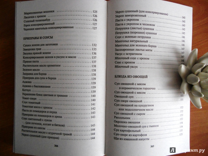 Иллюстрация 8 из 15 для Самые лучшие кулинарные рецепты от Октябрины Ганичкиной - Ганичкина, Ганичкин | Лабиринт - книги. Источник: Zabava