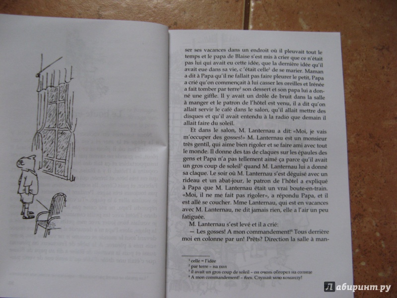 Иллюстрация 17 из 35 для Les vacances du petit Nicolas. Книга для чтения на французском языке - Sempe-Goscinny | Лабиринт - книги. Источник: Ольга