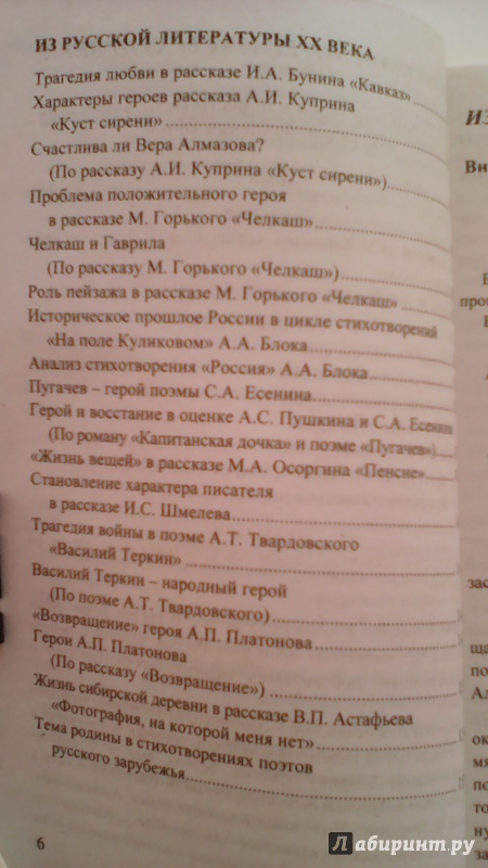 Иллюстрация 8 из 49 для Литература. 8 класс. Все сочинения к учебнику в 2-х частях В.Я. Коровиной и др. ФГОС - Елена Зуева | Лабиринт - книги. Источник: M-Mare