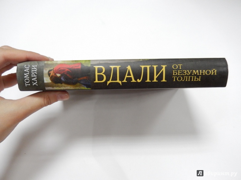 Иллюстрация 3 из 15 для Вдали от безумной толпы - Томас Харди | Лабиринт - книги. Источник: dbyyb