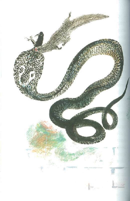Иллюстрация 8 из 15 для Рикки-Тикки-Тави - Редьярд Киплинг | Лабиринт - книги. Источник: bel-k