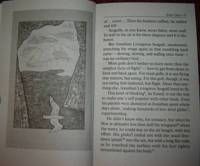 Иллюстрация 7 из 12 для Jonathan Livingston Seagull - Richard Bach | Лабиринт - книги. Источник: vybegasha