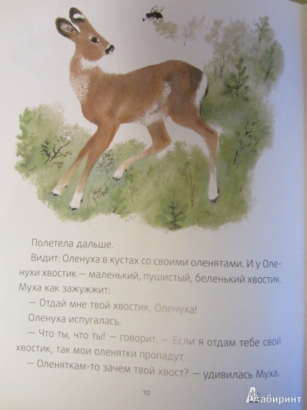 Иллюстрация 20 из 29 для Хвосты - Виталий Бианки | Лабиринт - книги. Источник: Сандракова Юля