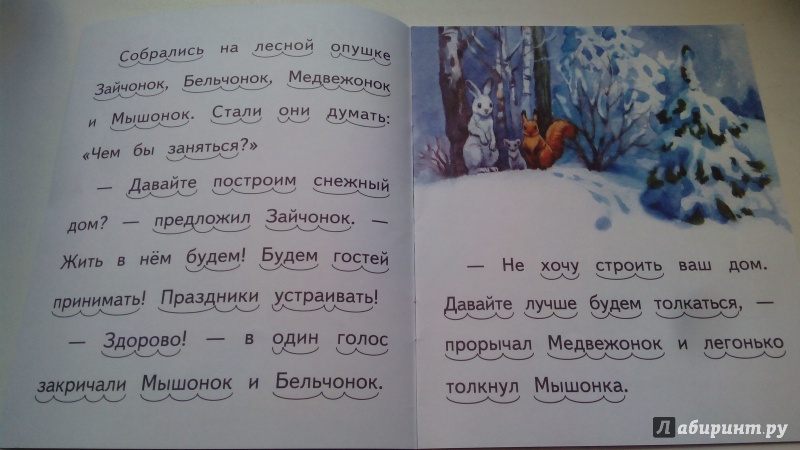 Иллюстрация 13 из 17 для Снежный дом - Елена Ермолова | Лабиринт - книги. Источник: Косова  Мария