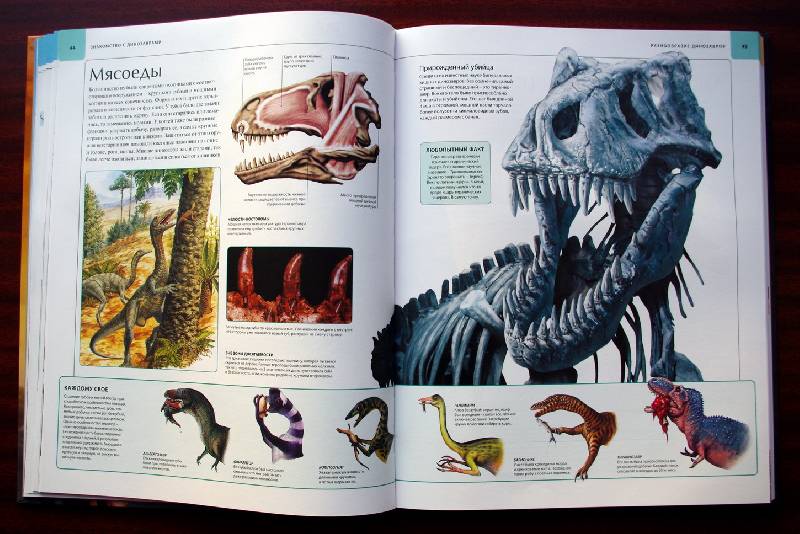Иллюстрация 91 из 109 для Динозавры. Иллюстрированный атлас - Майкл Бретт-Шуман | Лабиринт - книги. Источник: Валерия