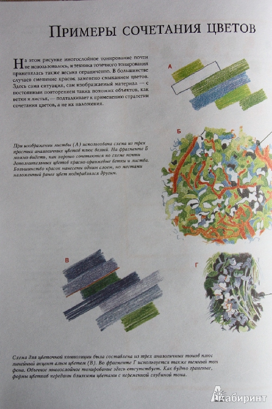 Иллюстрация 27 из 28 для Основы техники рисования цветным карандашом - Бет Боджсон | Лабиринт - книги. Источник: С  Т