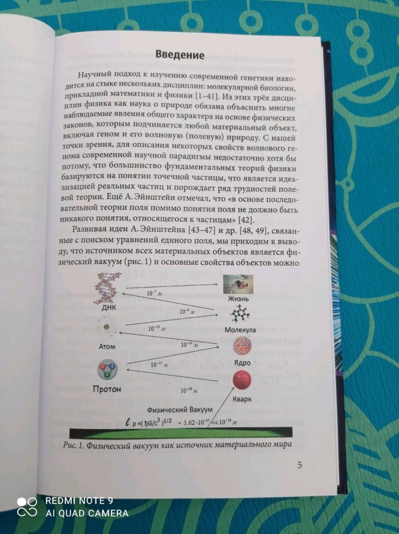 Иллюстрация 20 из 21 для Квантовый геном в понятиях теории физического вакуума - Шипов, Гаряев | Лабиринт - книги. Источник: Славянин