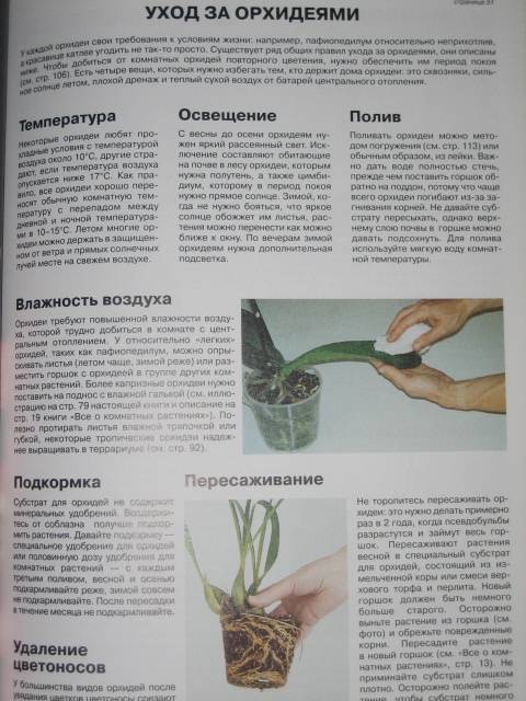 Иллюстрация 18 из 40 для Все о комнатных растениях. Книга вторая - Дэвид Хессайон | Лабиринт - книги. Источник: МЕГ