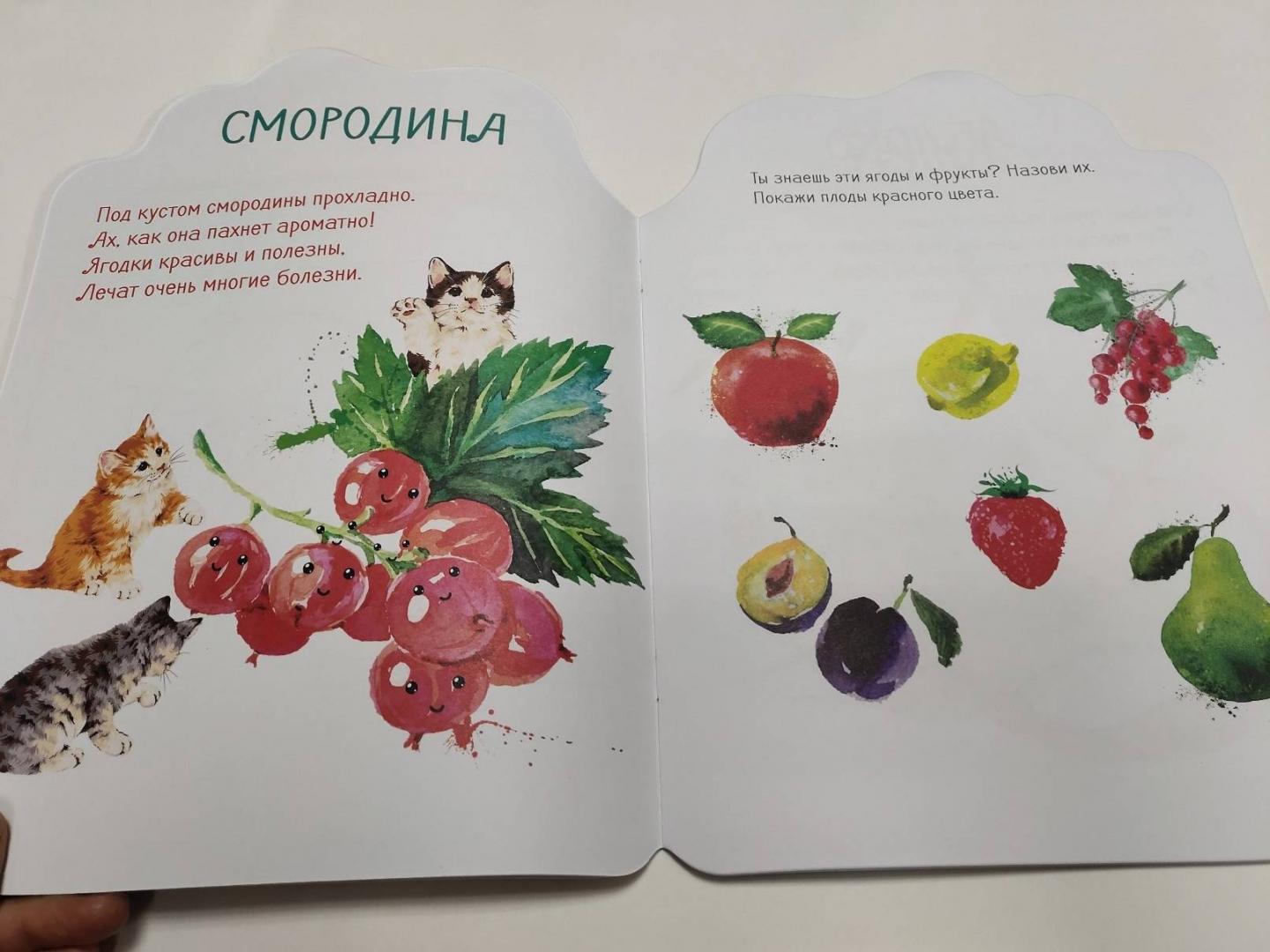 Иллюстрация 10 из 35 для Наклейки Лила Лу 3+. Фрукты и ягоды | Лабиринт - книги. Источник: dbyyb