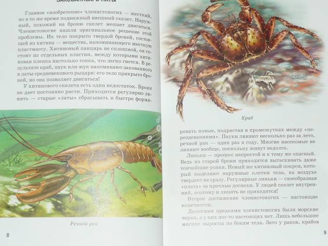 Иллюстрация 2 из 40 для Жуки и другие удивительные насекомые - Сергей Афонькин | Лабиринт - книги. Источник: Ромашка:-)